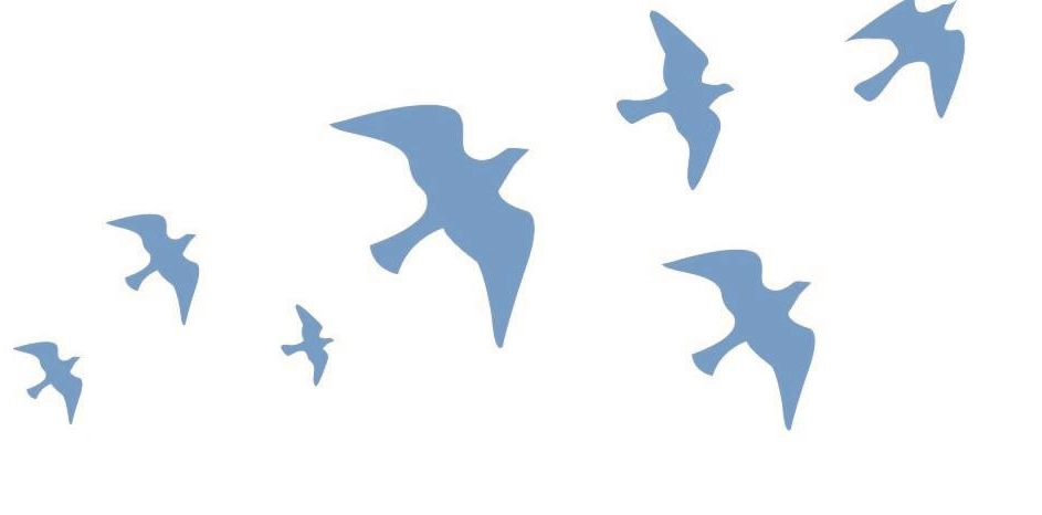 Logo Birds
